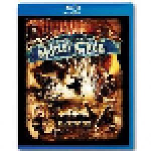 Mötley Crüe: Carnival Of Sins - Live (Blu-Ray Disc) - Bild 1