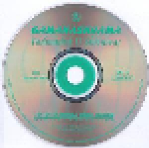 U. Shrinivas: Gamanashrama - Ragan Tanam Pallavi (CD) - Bild 2