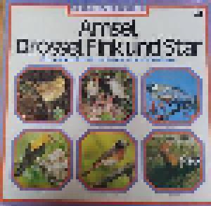 Cover - Rolf Dirksen: Amsel, Drossel, Fink Und Star