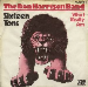 Cover - Don Harrison Band, The: Sixteen Tons