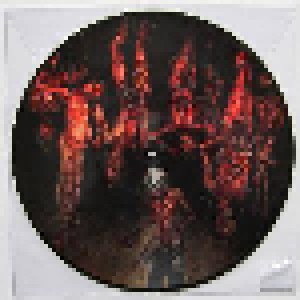 Cannibal Corpse: Torture (PIC-LP) - Bild 1