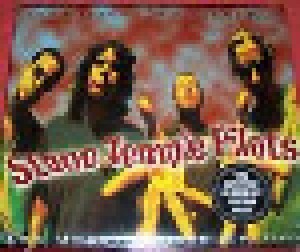 Stone Temple Pilots: The Unauthorised Edition (CD) - Bild 1