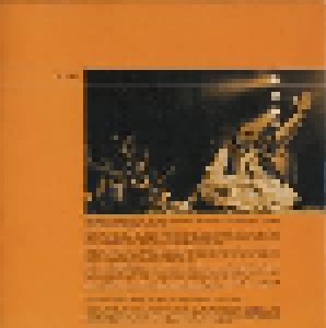 Nusrat Fateh Ali Khan: Rapture (CD) - Bild 8