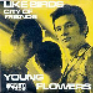 Young Flowers: Blomsterpistolen (LP + 7") - Bild 7