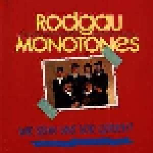 Rodgau Monotones: Wir Sehn Uns Vor Gericht (CD) - Bild 1