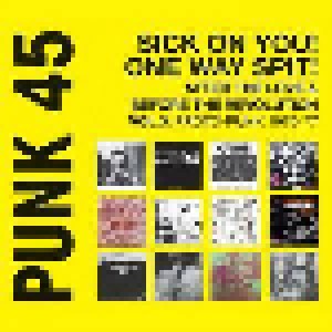 Punk 45 Sick On You! One Way Spit! After The Love & Before The Revolution Vol. 3: Proto-Punk 1969-76 (2-LP) - Bild 1