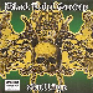 Black Label Society: Skullage (CD) - Bild 1