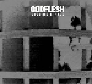 Godflesh: Decline & Fall (Mini-CD / EP) - Bild 1