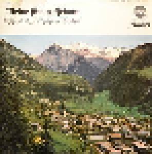 Cover - Tiroler Buam, Die: Meine Schöne Heimat