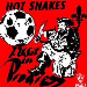 Cover - Hot Snakes: Audit In Progress