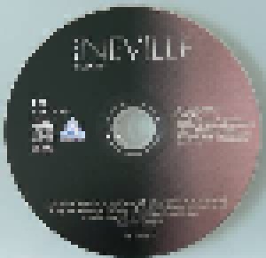 Ivan Neville: Thanks (3-CD) - Bild 3