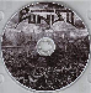 Punish: Sublunar Chaos (Promo-CD-R) - Bild 1