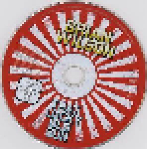 Brian Wilson: That Lucky Old Sun (CD + DVD) - Bild 4