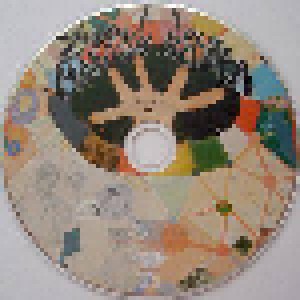 Ziggy Marley: Fly Rasta (LP + Promo-CD) - Bild 9