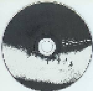 MSBR + Daniel Menche: Scattered Remains: Early Rarities (Split-2-CD) - Bild 2