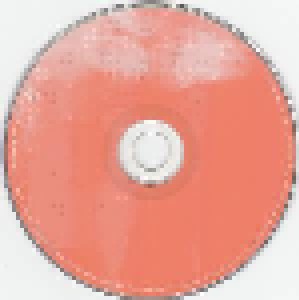 Sonic Youth: Sonic Nurse (CD) - Bild 3