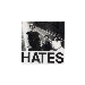 Cover - Hates, The: No Talk In The Eighties