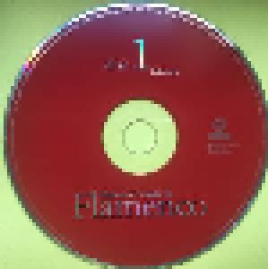 Beginner's Guide To Flamenco (3-CD) - Bild 3