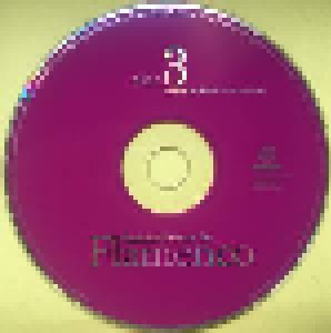 Beginner's Guide To Flamenco (3-CD) - Bild 5