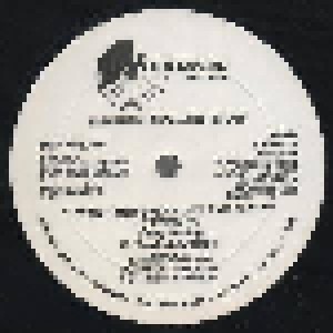 Cindy Volzing: I Want You Every Day And Night (Fresh) (Promo-12") - Bild 2