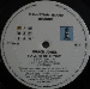 Grace Jones: Slave To The Rhythm (LP) - Bild 3