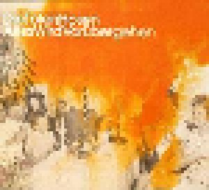Die Toten Hosen: Alles Wird Vorübergehen (Single-CD) - Bild 1