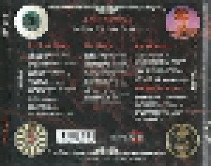 Ayreon: The Final Experiment (CD) - Bild 3