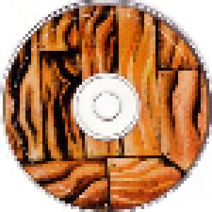 Crowded House: Woodface (CD) - Bild 4