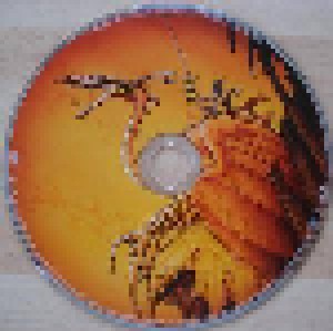 Roxxcalibur: Lords Of The NWOBHM (CD + DVD) - Bild 6