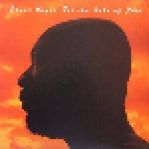 Isaac Hayes: For The Sake Of Love (CD) - Bild 1