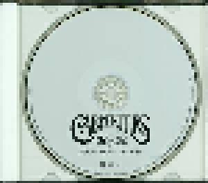 The Carpenters: 20/20 ~Best Of The Best Selection~ (SHM-CD) - Bild 5