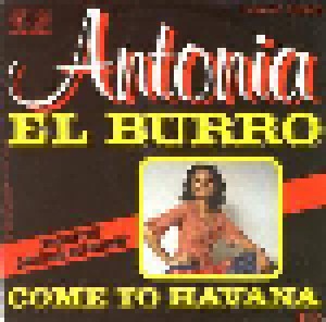 Cover - Antonia: El Burro