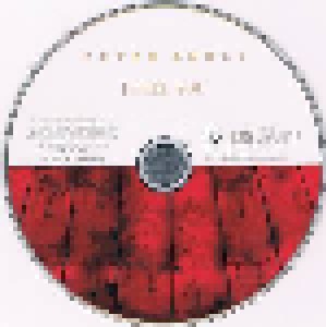 Peter André: I Feel You (Single-CD) - Bild 4