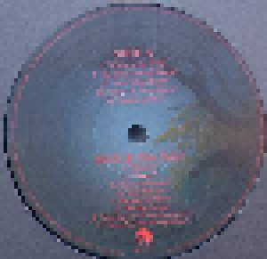 Anderson Bruford Wakeman Howe: An Evening Of Yes Music Plus Vol. 2 (2-LP) - Bild 4