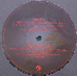 Anderson Bruford Wakeman Howe: An Evening Of Yes Music Plus Vol. 1 (2-LP) - Bild 4