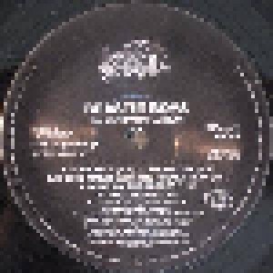 Beastie Boys: Ill Communication (2-LP) - Bild 3