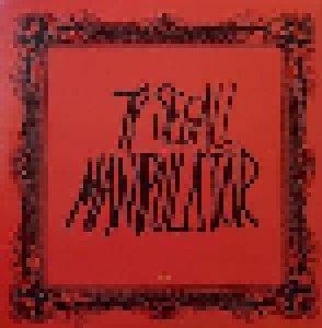 Ty Segall: Manipulator (2-LP) - Bild 2