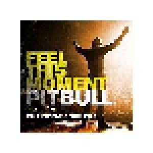 Cover - Pitbull Feat. Christina Aguilera: Feel This Moment