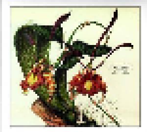 Botanist: VI: Flora (CD) - Bild 1