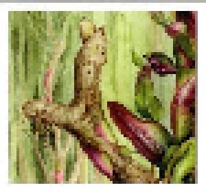 Botanist: VI: Flora (CD) - Bild 3
