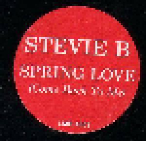 Stevie B.: Spring Love (Come Back To Me) (12") - Bild 3