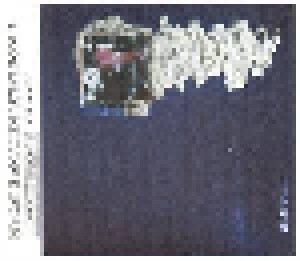 Steve Roden + My Cat Is An Alien: Cosmic Debris Volume II (Split-CD) - Bild 1