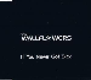 The Wallflowers: If You Never Got Sick (Promo-Single-CD) - Bild 1