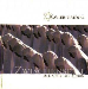 Xavier Naidoo: Zwischenspiel - Alles Für Den Herrn (Promo-CD) - Bild 1