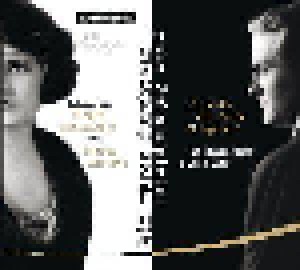 Cover - F. Scott Fitzgerald & Zelda Fitzgerald: Wir Waren Furchtbar Gute Schauspieler - Psychogramm Einer Ehe