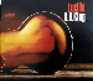 B.B. King: Lucille (CD) - Bild 1