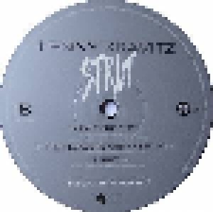 Lenny Kravitz: Strut (2-LP) - Bild 8