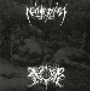 Nachtmystium + Xasthur: Nachtmystium / Xasthur (Split-7") - Bild 1