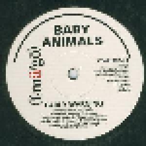 Cover - Baby Animals: Early Warning