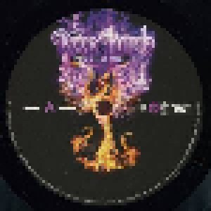 Deep Purple: Phoenix Rising (2-LP) - Bild 4